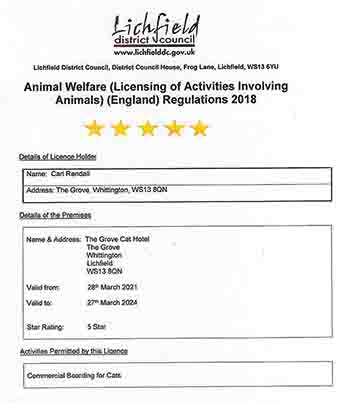 Cat Boarding Animal Welfare Licence 5 Star Rating awarded and certified by Lichfield District Council