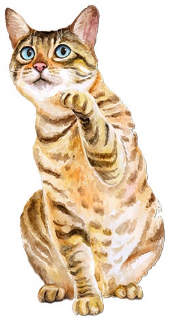 Watercolour portrait of a beautiful blue-eyed Bengal cat sitting with left front paw raised in greeting.