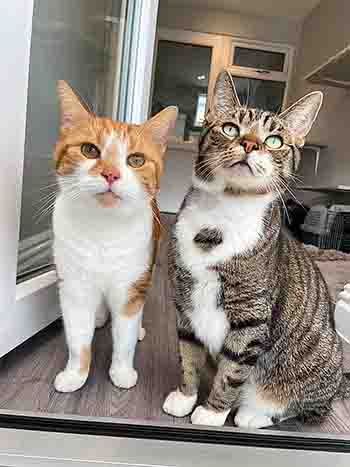 Ludo and Bruce sitting together in the doorway