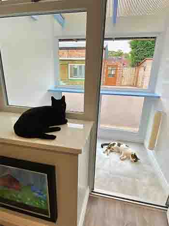 Maxi and Eva enjoying a cool spot