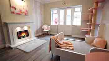 View of the whole suite, fireplace to the left, doors and windows in the middle wall climbing frame and large bed to the right