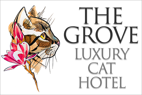 Our logo - on the left is a watercolour portrait of a Bengal cat's head, on the right it says: The Grove Cat Hotel.